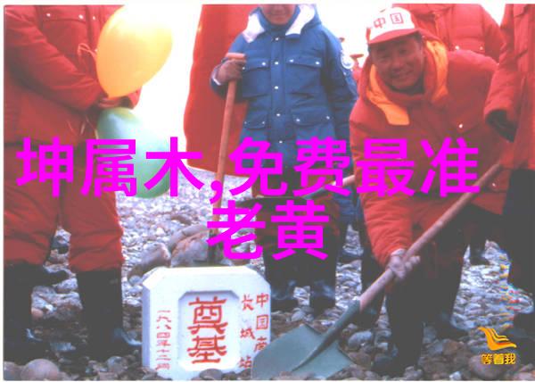 一个人的逆袭探索娱乐天王重生的内幕