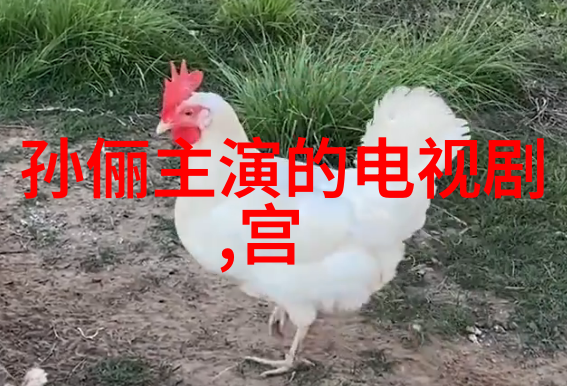 终极爆料娱乐八卦中隐藏的真相