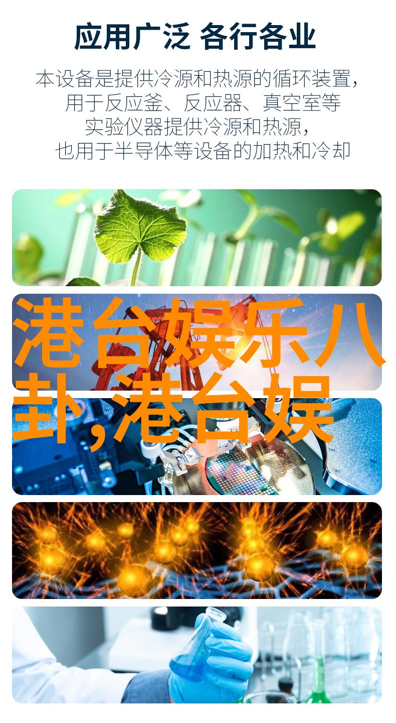 明星网我是如何在一夜之间成为网络红人