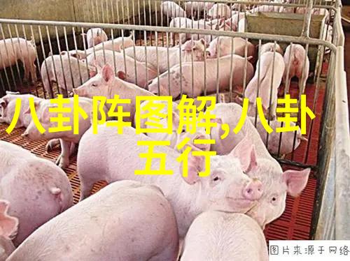 八卦图的幻舞