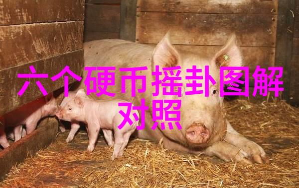 时尚美女写真套图精选捕捉优雅与魅力的艺术瞬间