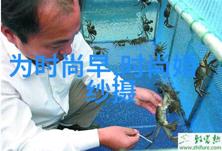 粉丝头条明日之子崛起K歌新星点亮夜空