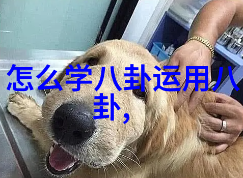娱乐新闻头条少年24男团IN2IT即将出道期待已久