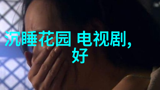 敢死队4世界尽头的旅程