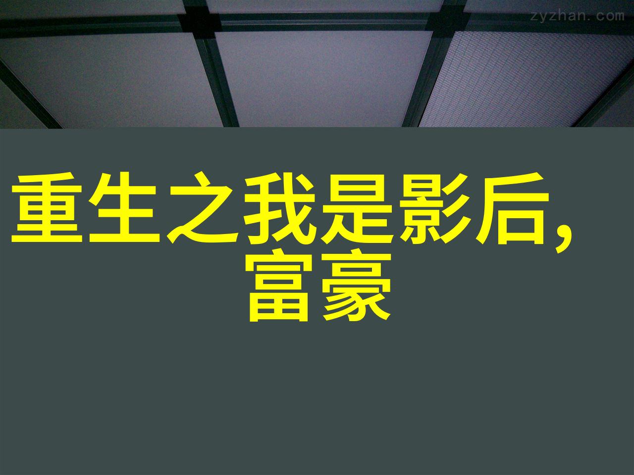 龙崽宝宝求生综艺中的火爆新星
