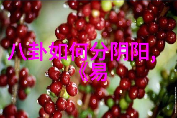 探索心灵的地图属于哪里的寻找之旅