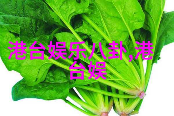 镜头背后的故事写真机的艺术与技术