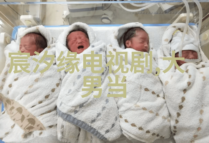 王全安张雨绮甜蜜游马尔代夫补办中式婚礼体验无限娱乐场景的物品盛宴