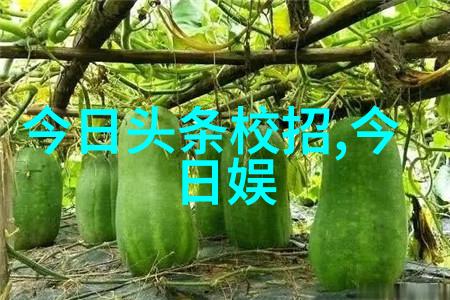 台湾形势与政策论文剖析两岸关系新动态及其对中国大陆的战略影响