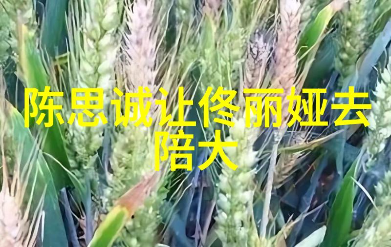 银河璀璨麻花星空影视传媒的梦幻之旅