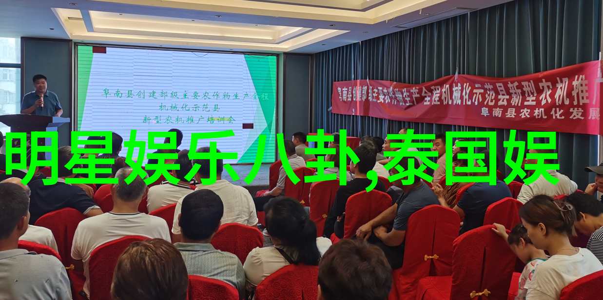 系列何冰电视剧中的新加坡美女演员荧幕上的魅力与光芒