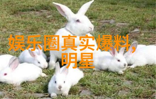 陈乔恩现身北京善行者反复分发补给为队员助力图片大全好看