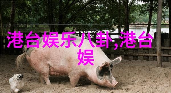 音悦无界揭秘最佳免费音乐下载神器