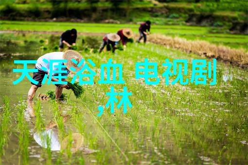 春夏时尚搭配指南轻盈花朵与现代优雅的完美融合