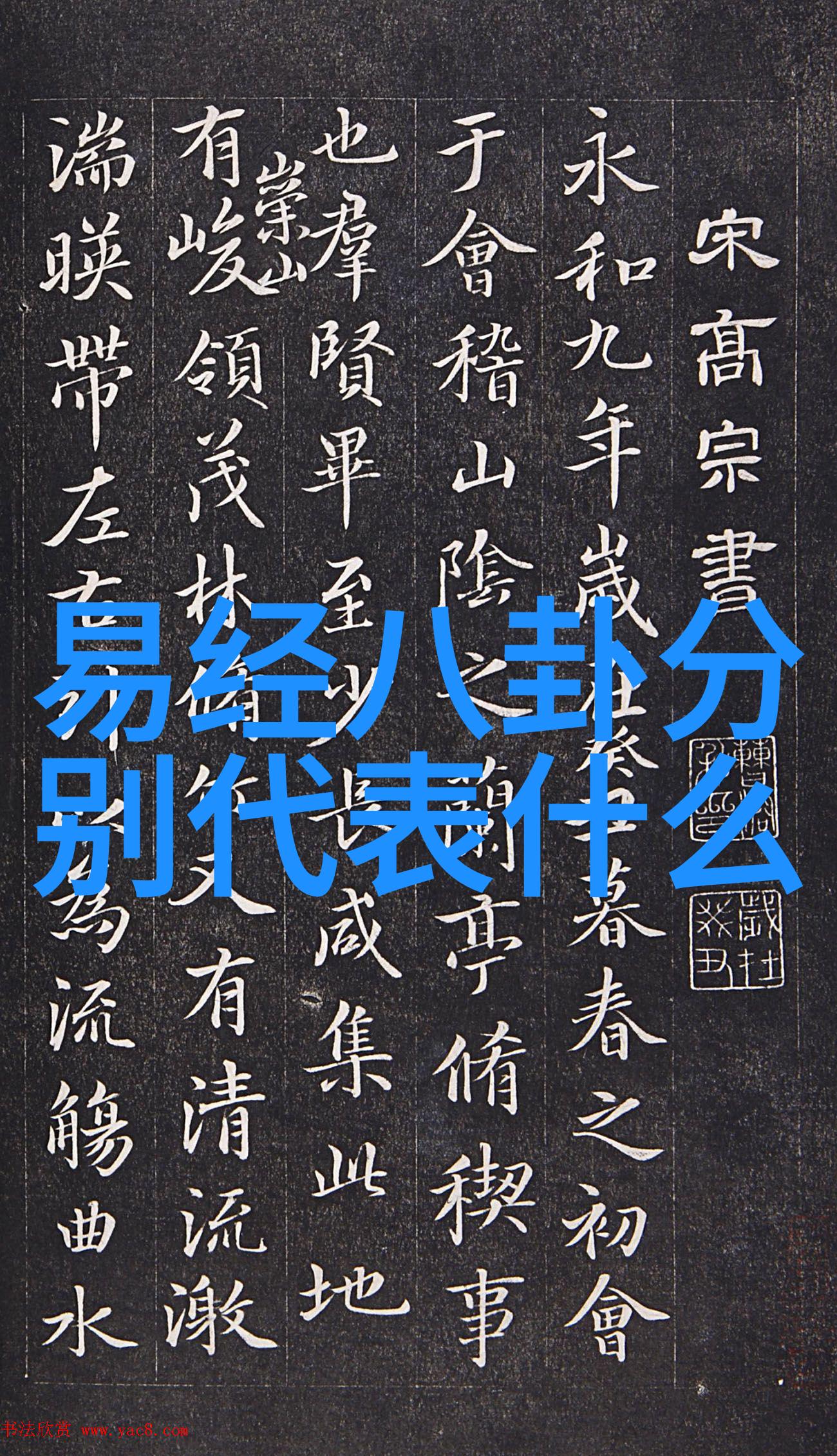 刘亦菲写真展现多面性魅力