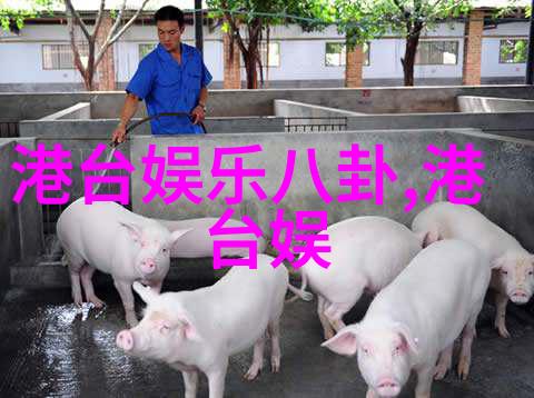 为了达到理想的外观效果网红Snowy究竟进行了哪些具体的手术和非手术治疗措施呢