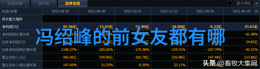 中国经济增长率达新高这背后有什么驱动力吗