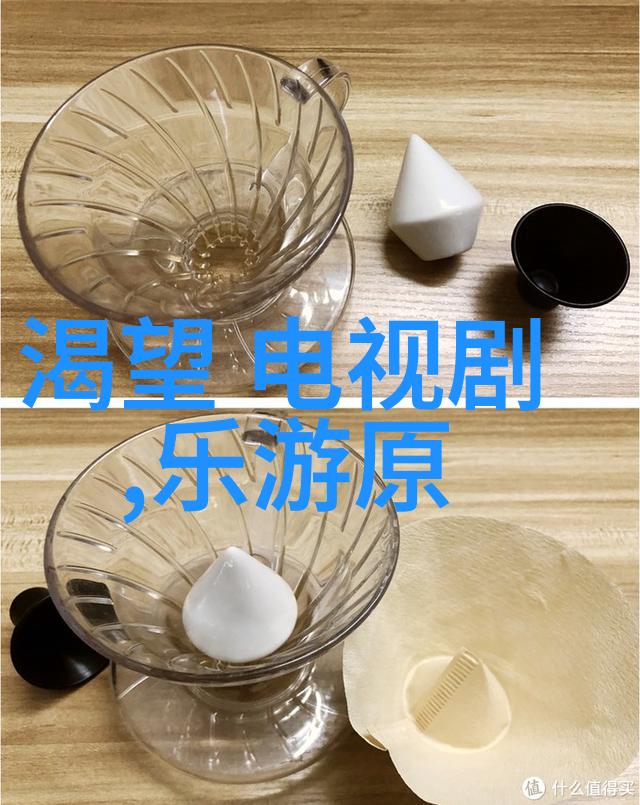 刘小凯参加CCTV3黄金100秒节目录制广受关注
