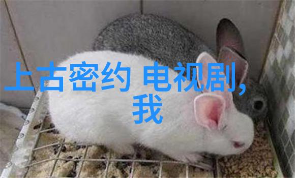 安徽综艺频道传递文化热点共享生活美学