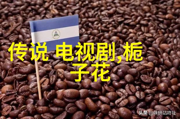 网红都是些什么人我是怎么认识他们的