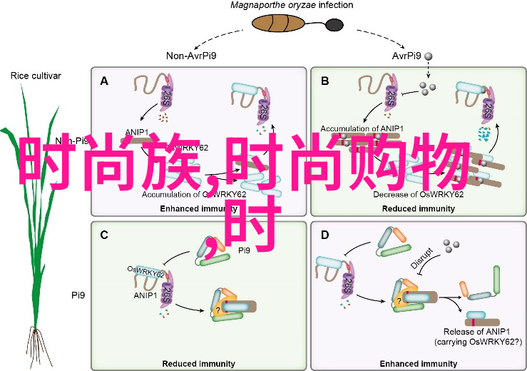 那些被遗忘的声音全棵女性艺术照片中的隐喻意义解析