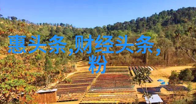不死者的秘密探索不朽生命的传说与科学