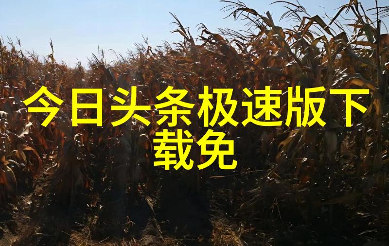 从古籍到现代如何正确使用周易解读生辰八字