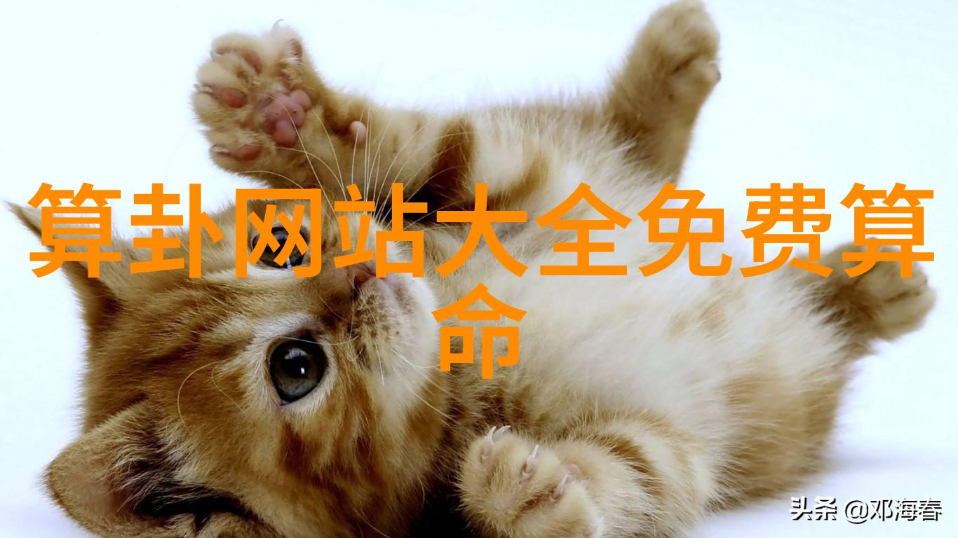 薛佳凝魅惑娃娃照曝光台湾大陆关系似走神游走于和谐与挑战之间