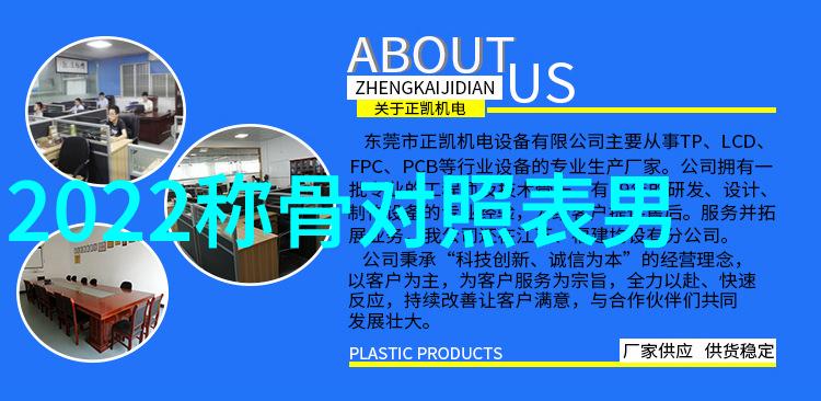 冬日纽约雪花中融化的热情
