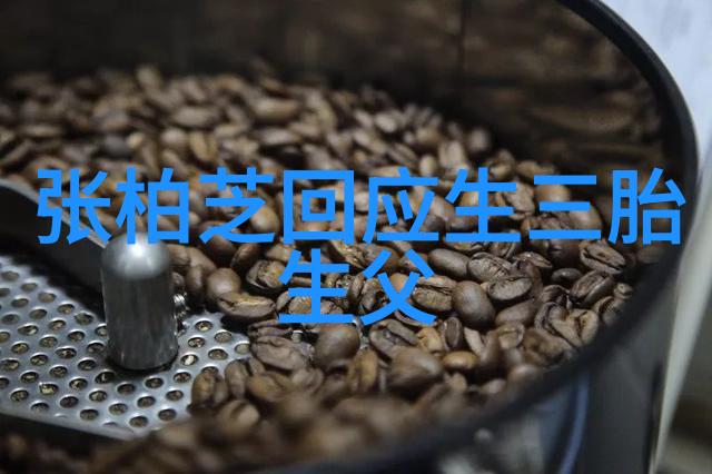 揭秘中国传统文化中的八卦图象征与智慧的双重奏鸣