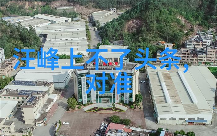 国籍的双重奏鸣台湾人在表格上的选择与思考