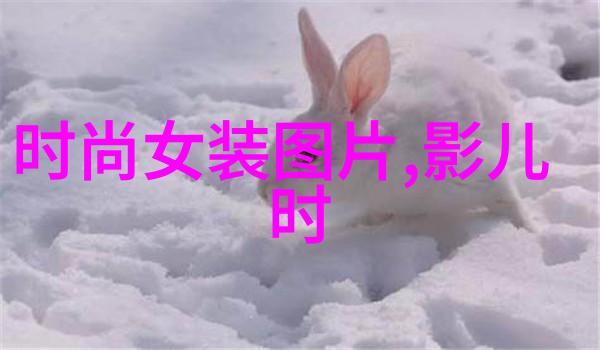 新浪娱乐独家赵涛女神亮相温影之光庆典赞扬学子专业实力