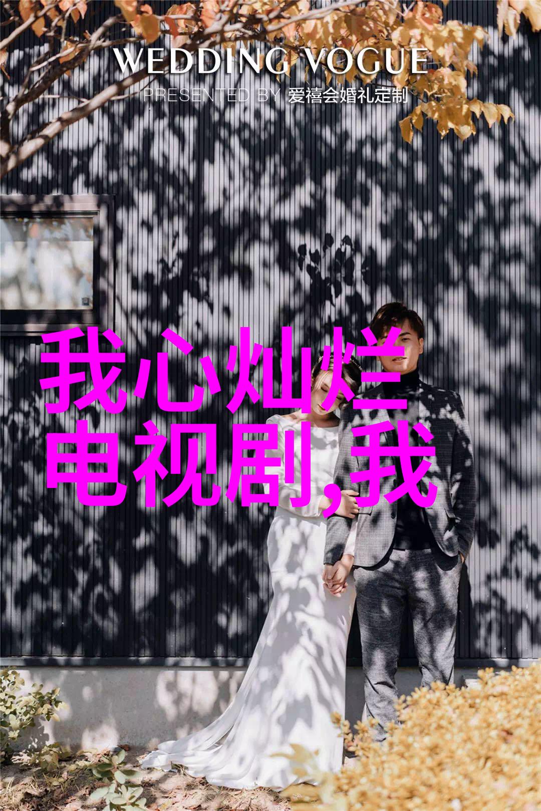 音乐爱好者的福音无限旋律的免费下载之旅