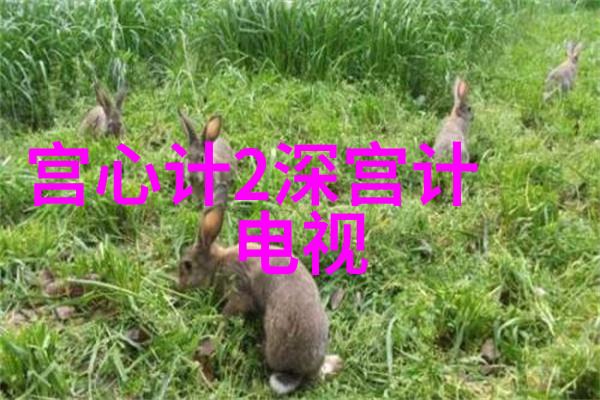 娱乐圈中的新星Hanni的故事一个来自异国他乡的女子她在中文世界中以什么名字闪耀