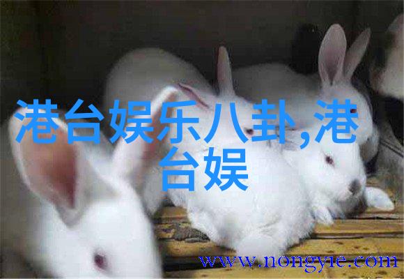 智能镜头捕捉真相的双重视角
