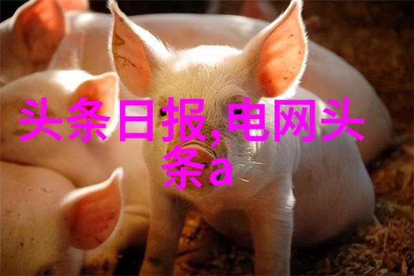 张筱雨写真捕捉时尚女神的每一个瞬间