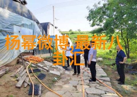 青春娱乐网-青春无限探索网络娱乐时代的新风尚