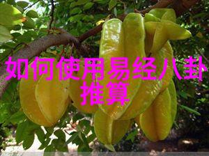 情绪的琴弦