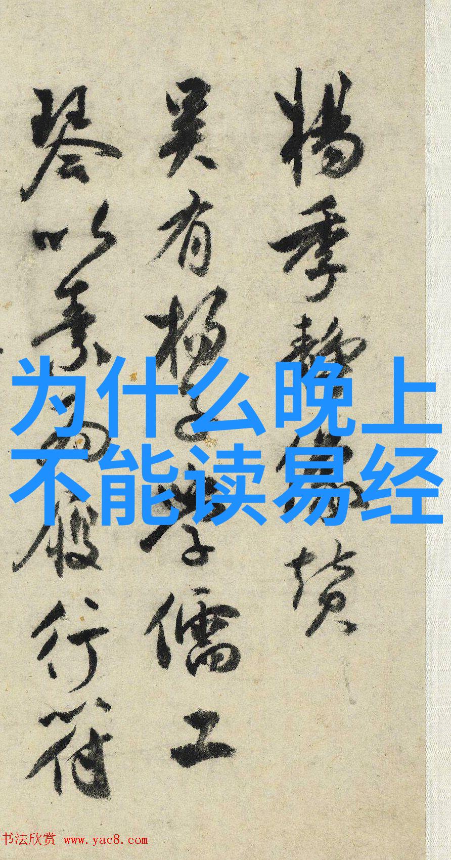 头条新闻巨型海龟穿越城市成为午餐时段焦点