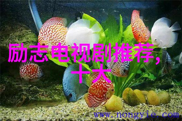 掌握合理布局制作高效后的七星系统图案技巧