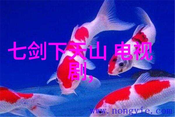 云音乐网页版首页音乐流媒体服务平台的现代化用户界面