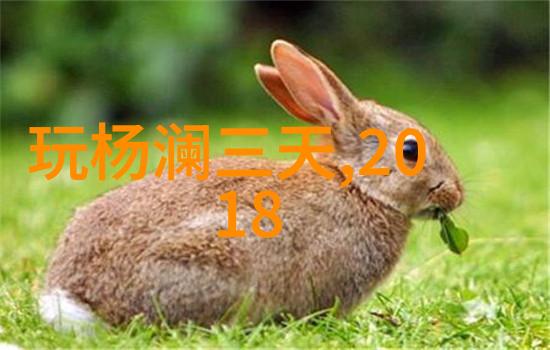 2024GY钙站未来的生长之源探索新型生物补充剂的奇迹
