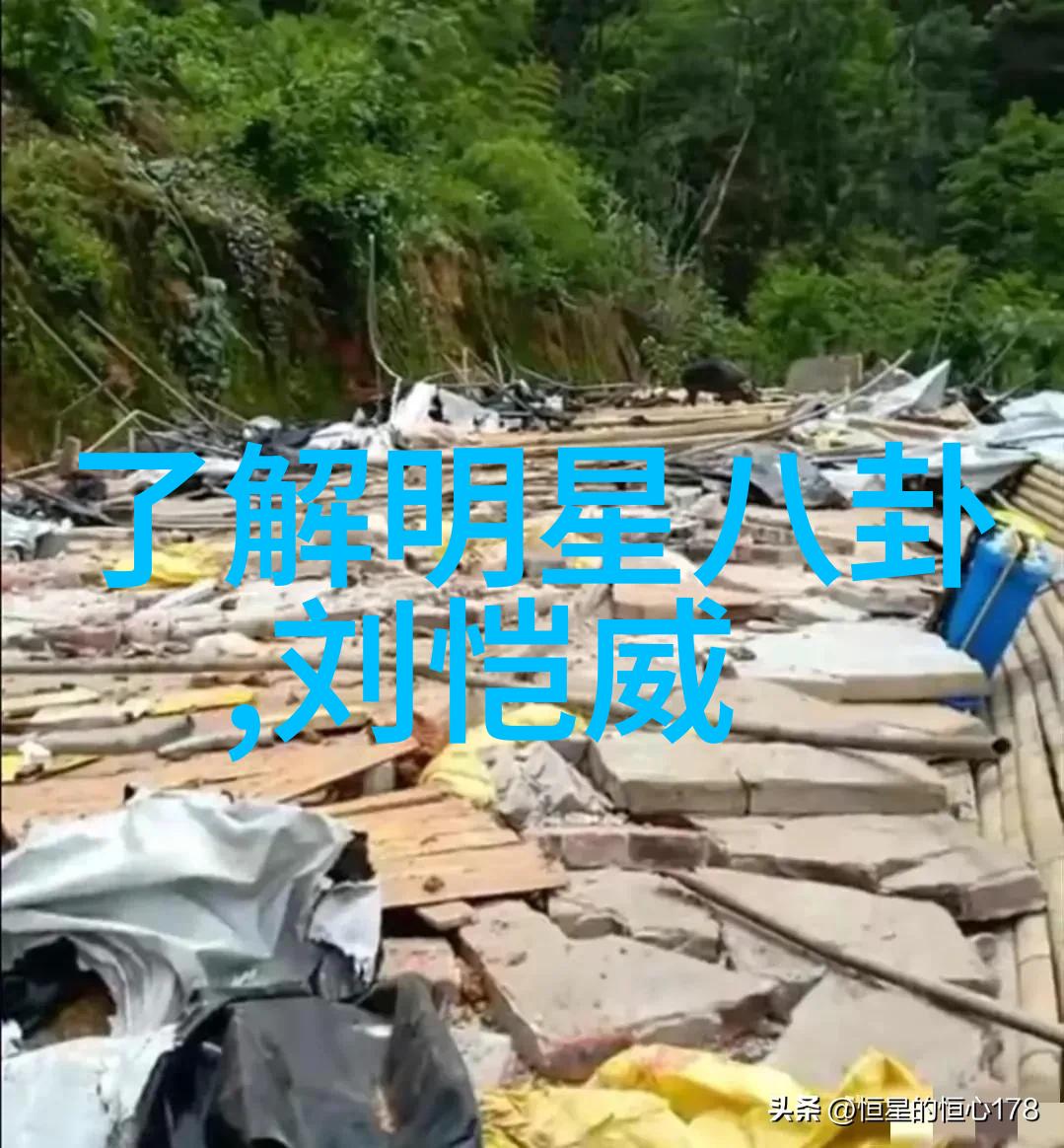 网红背后的真相涛仔事件揭秘