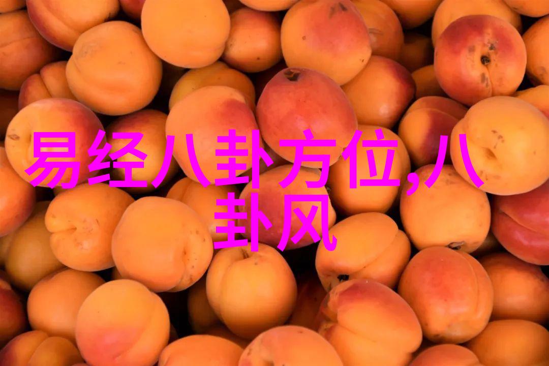 解读古文明智慧64卦中的宇宙哲学与人生智慧