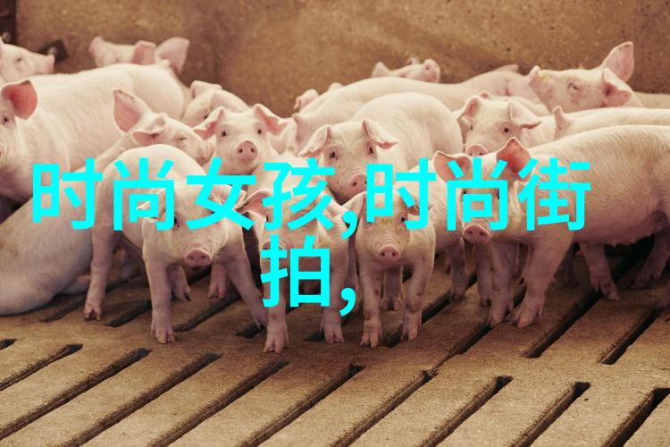 哀家有了老婆又买了条宠物狗