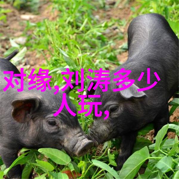色彩斑斓的银幕婷婷影视世界的奇幻之旅