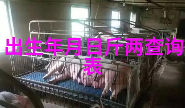 电影之旅外出的视觉盛宴