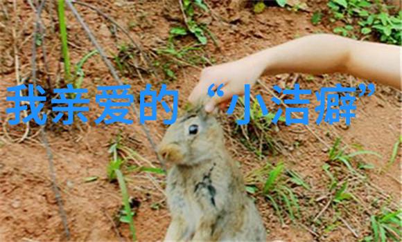 天涯明月刀原著深度解析剖析李秋水与林之助的复杂关系