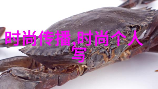酷客影视作品探索未来的科技与艺术融合