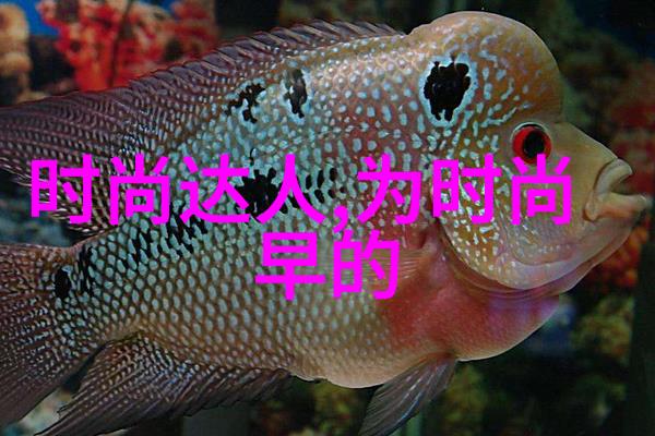 世界主要大陆之谜它们是如何在千年的历史长河中塑造了现代地缘政治格局的